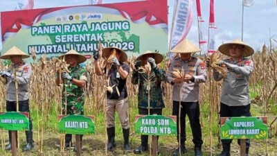 Sinergi Polri dan Pemprov NTB: Sukseskan Panen Jagung Kuartal I 2026