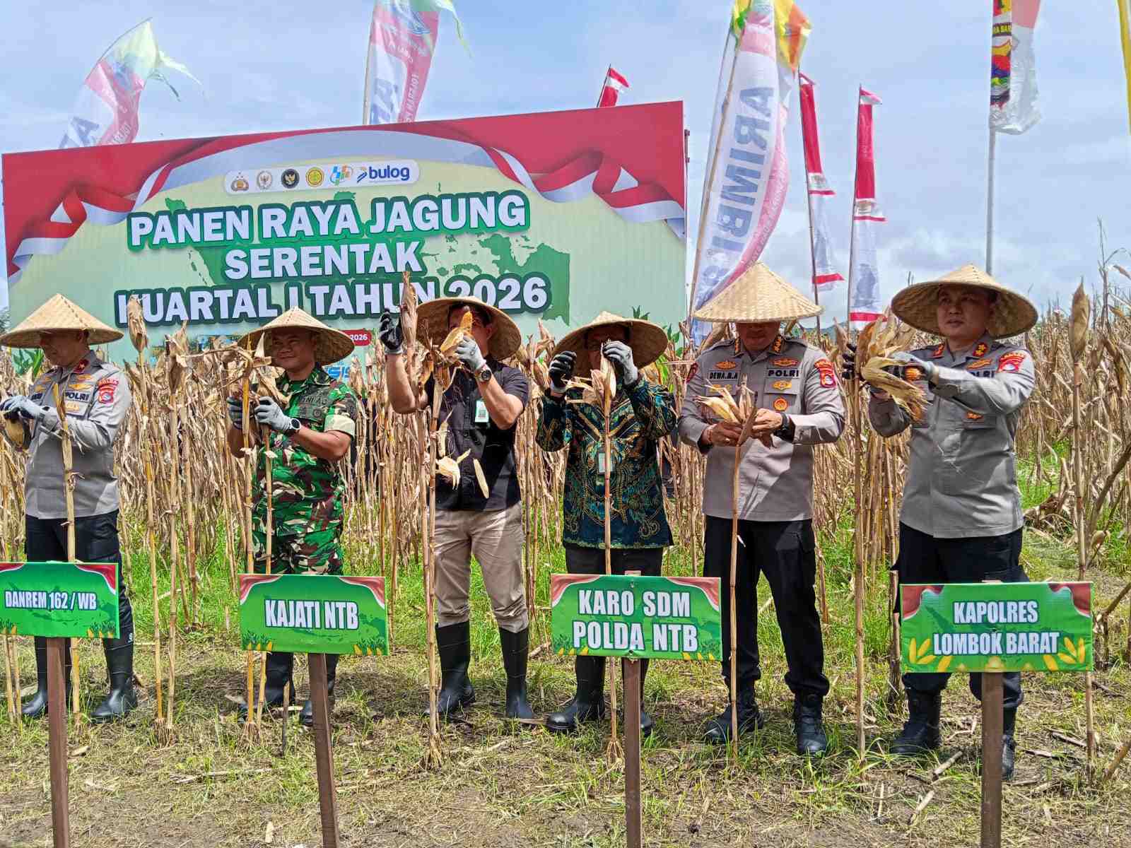 Sinergi Polri dan Pemprov NTB: Sukseskan Panen Jagung Kuartal I 2026