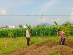 Polsek Labuapi Edukasi Petani Optimalkan Lahan Produktif